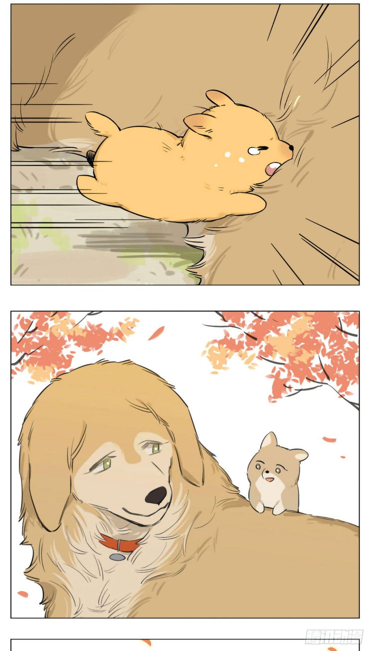 过去的事12