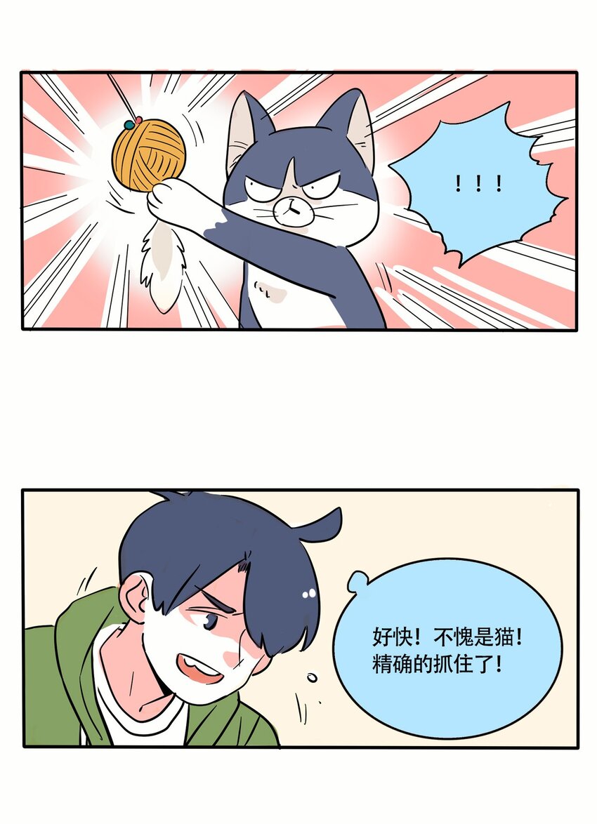 322 32212
