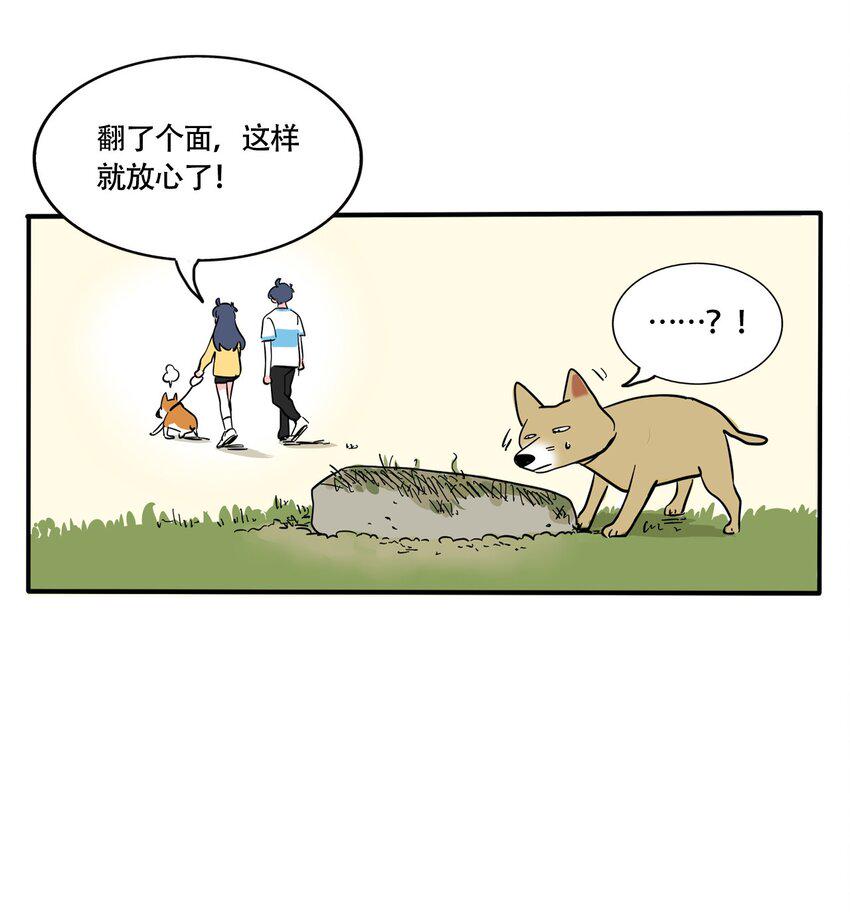 317 3176
