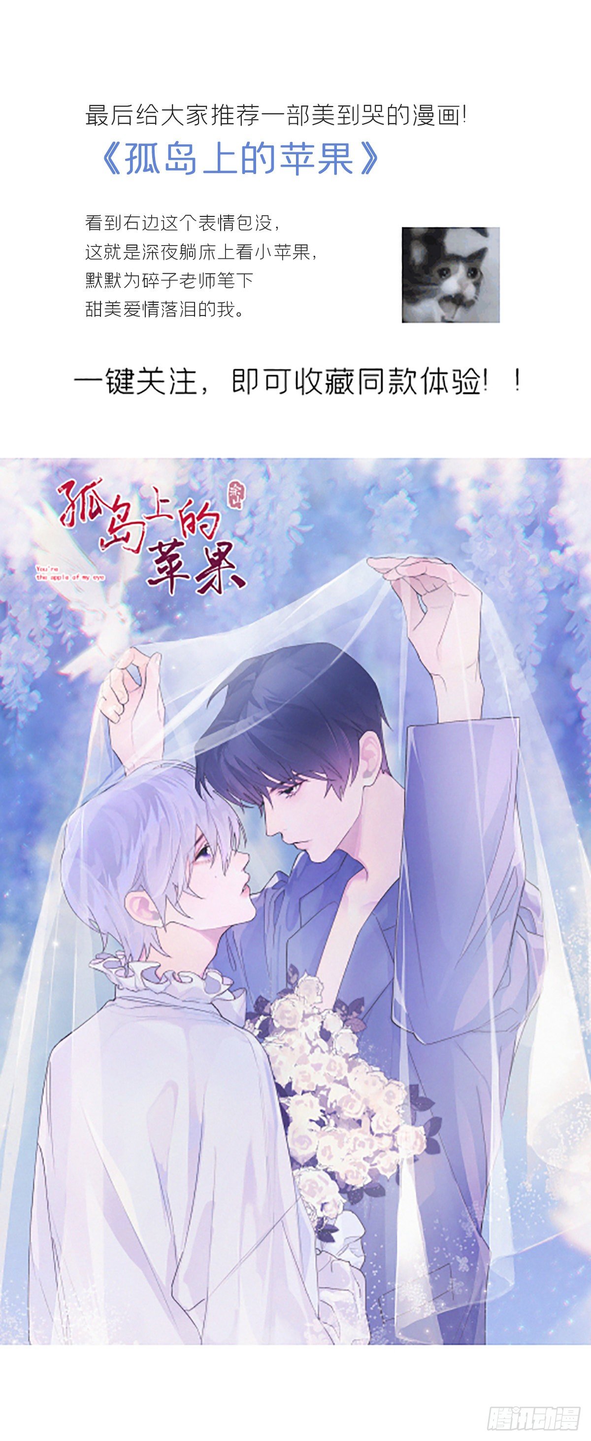 第九话-仙尊-55