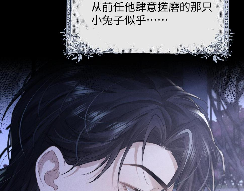 第32话 我把小兔子弄丢了113