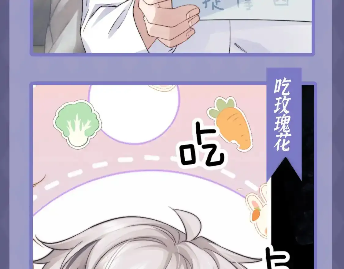 第11期 特别企划：愿意花几分钟时间看小兔子吃东西吗8