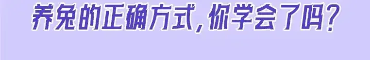 第19期 整活企划：养兔指南25