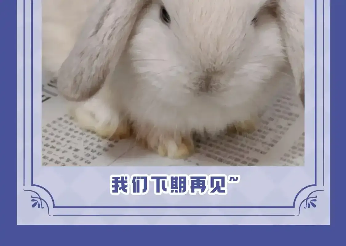 第53期 搞点事：陆上锦！放下那个小兔子让我来！13
