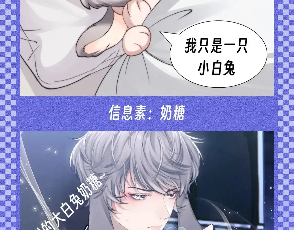 第48期 【KKW开奖】垂耳兔战力不完全统计！9
