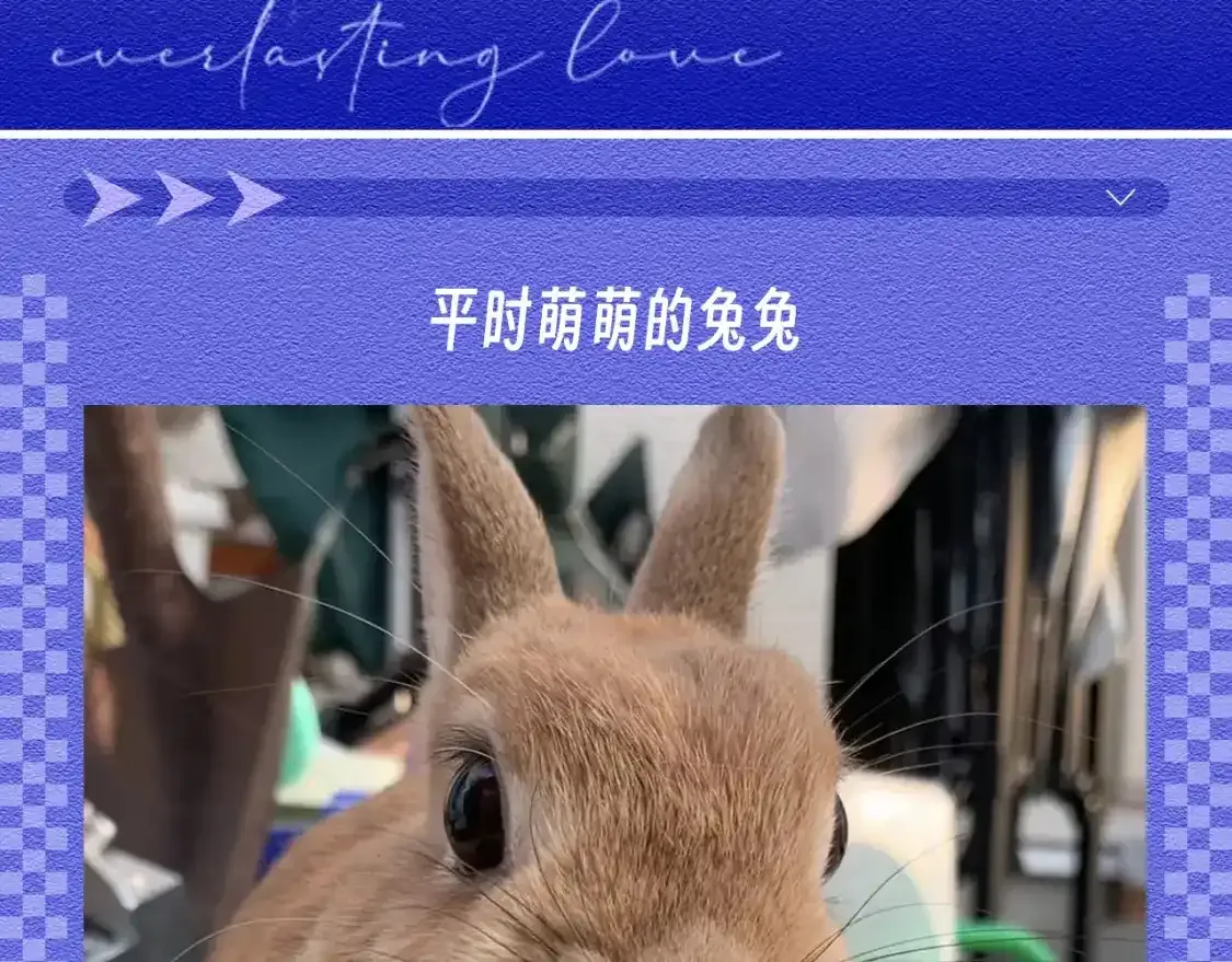 第45期 整活企划：原来垂耳执事很写实！1