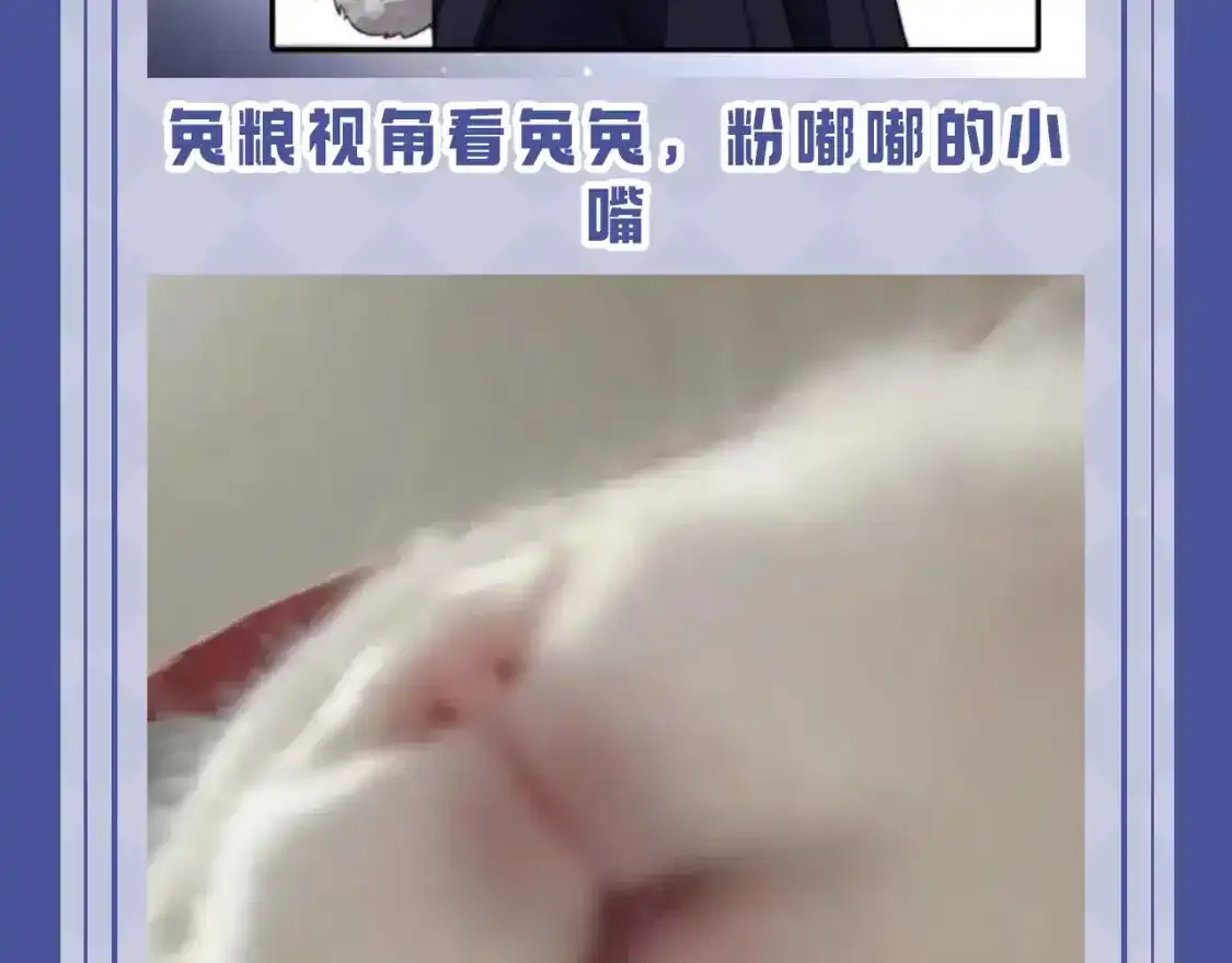 第53期 搞点事：陆上锦！放下那个小兔子让我来！5