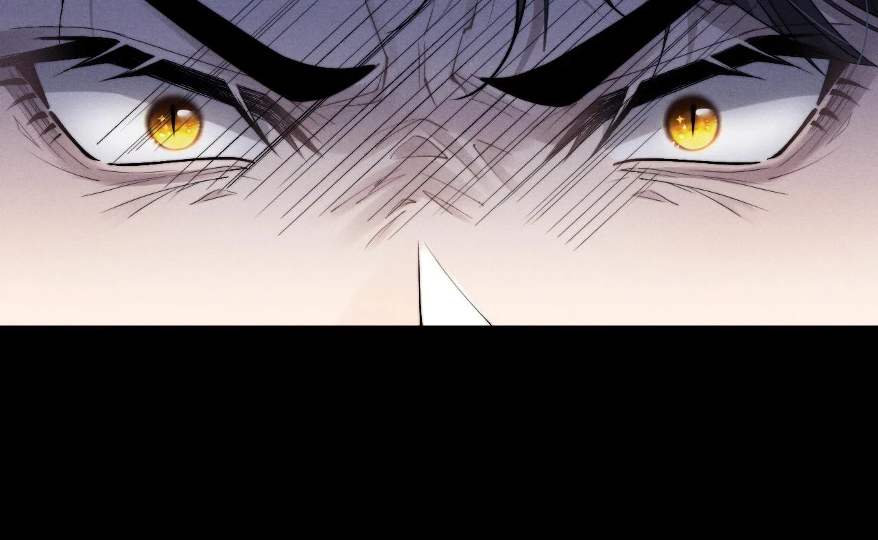 第30话 曾经的过往……72