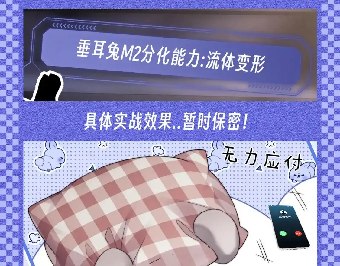第48期 【KKW开奖】垂耳兔战力不完全统计！12