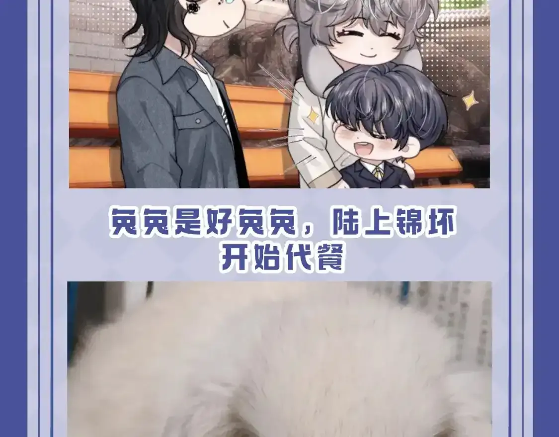 第53期 搞点事：陆上锦！放下那个小兔子让我来！12