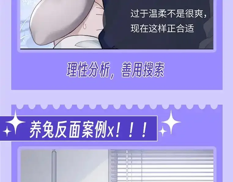 第19期 整活企划：养兔指南21