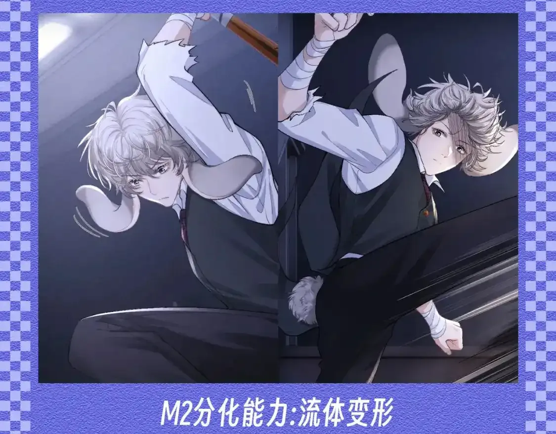 第48期 【KKW开奖】垂耳兔战力不完全统计！11