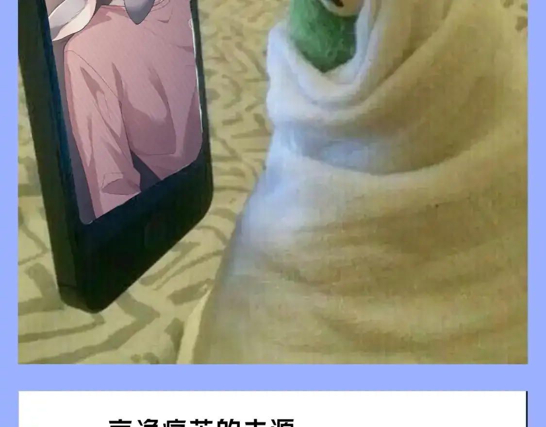第35期 整活企划：一波梗图整活6