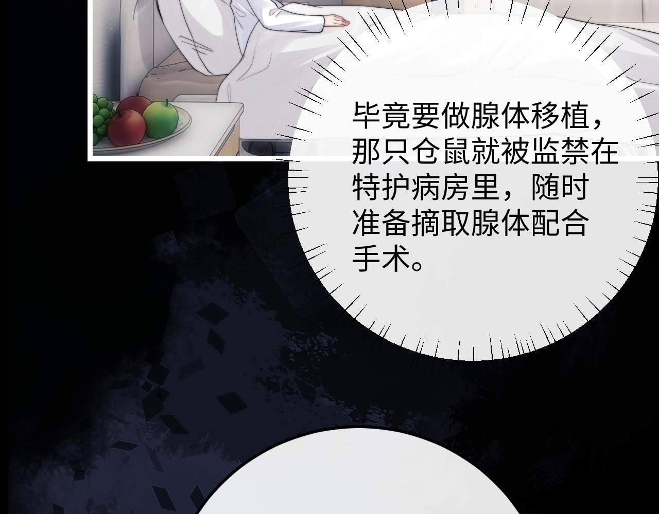 第21话 是宝贝也是筹码9
