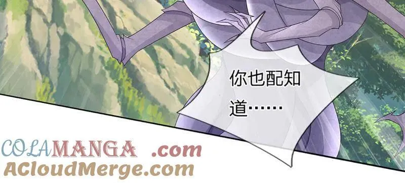 第349话 指引所在48