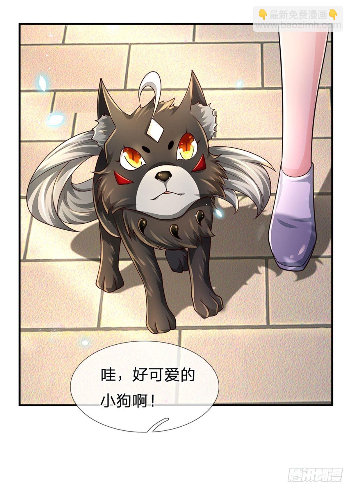 第107话 狗狗这么可爱20