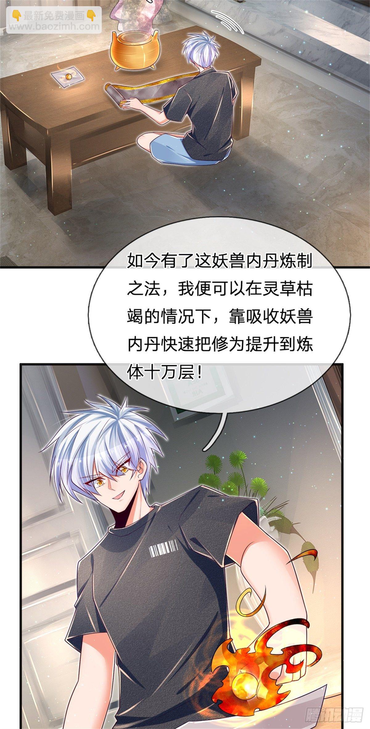 第31话 妖兽内丹炼制之法27