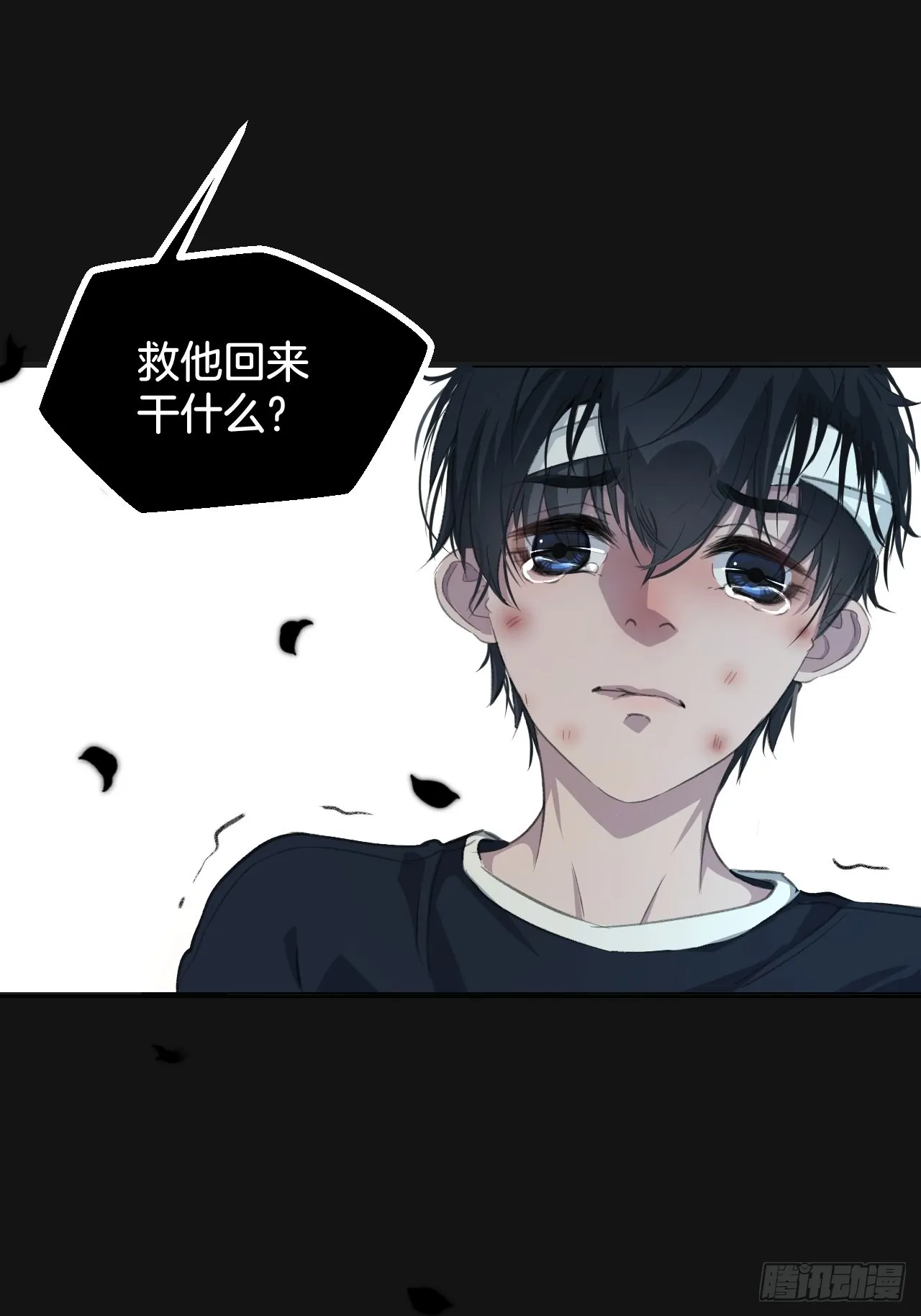 预告28