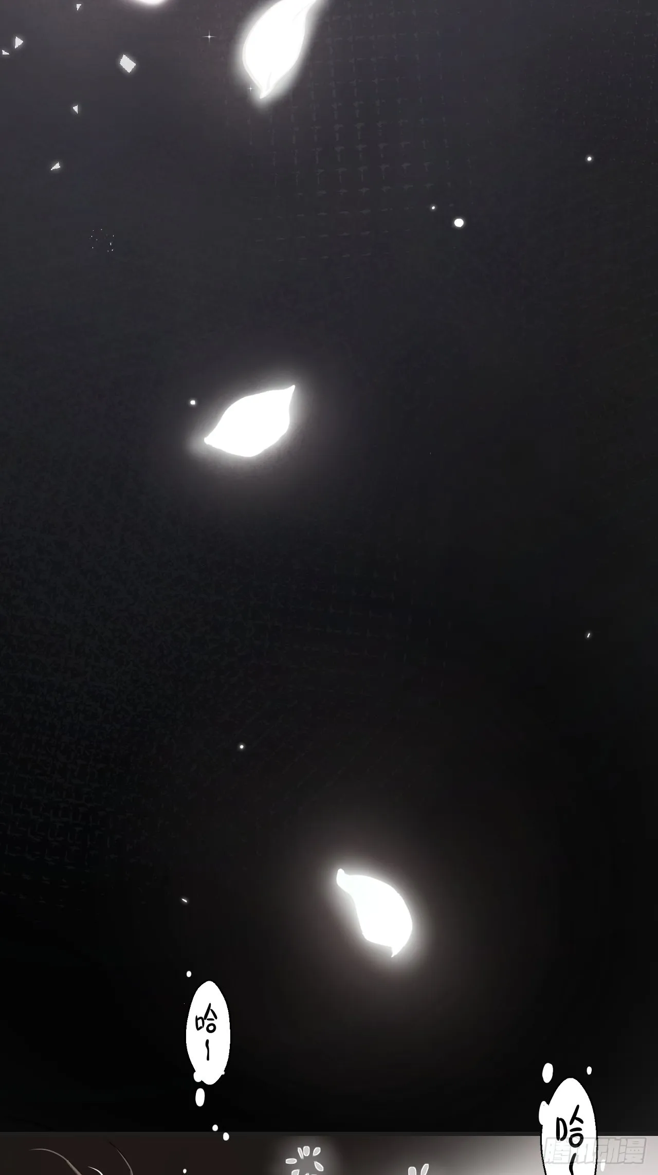 预告48