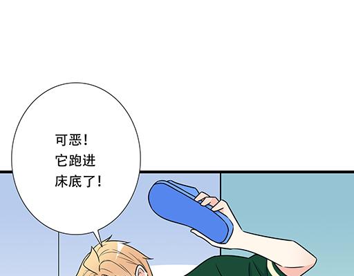 第四十九话：床底下的秘密33