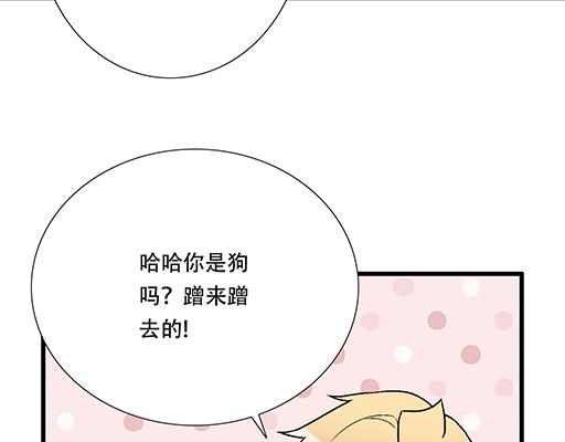 67磨人的小狼狗43