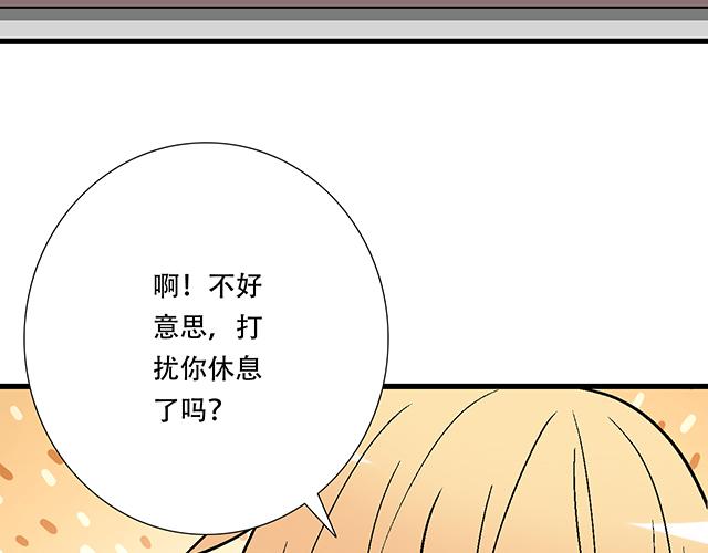 14 兔子可以送我吗？36