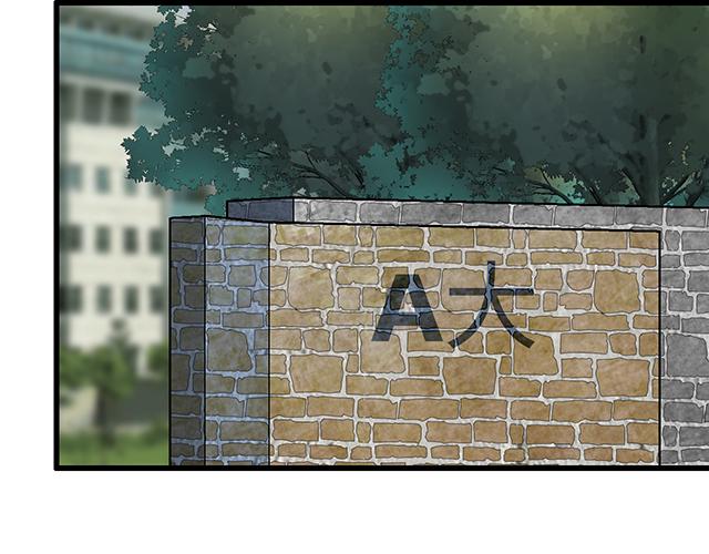 14 兔子可以送我吗？29