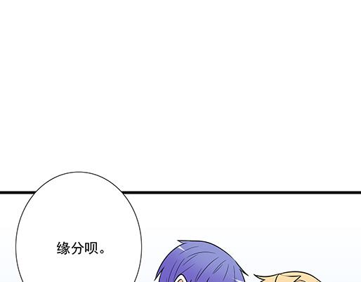 第四十话：缘分47