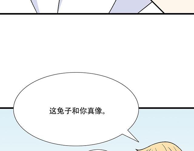 14 兔子可以送我吗？34