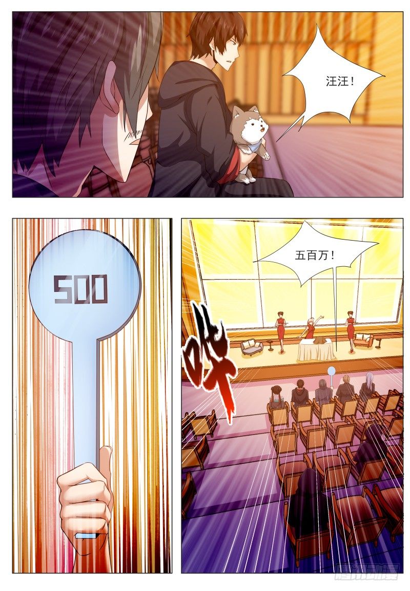 第44话 拍卖会就是买买买!5