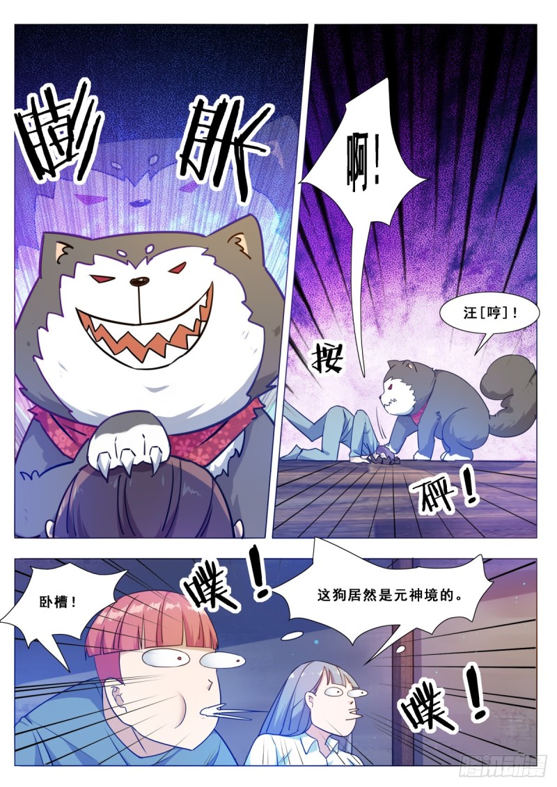 第115话 元神境的小哈6