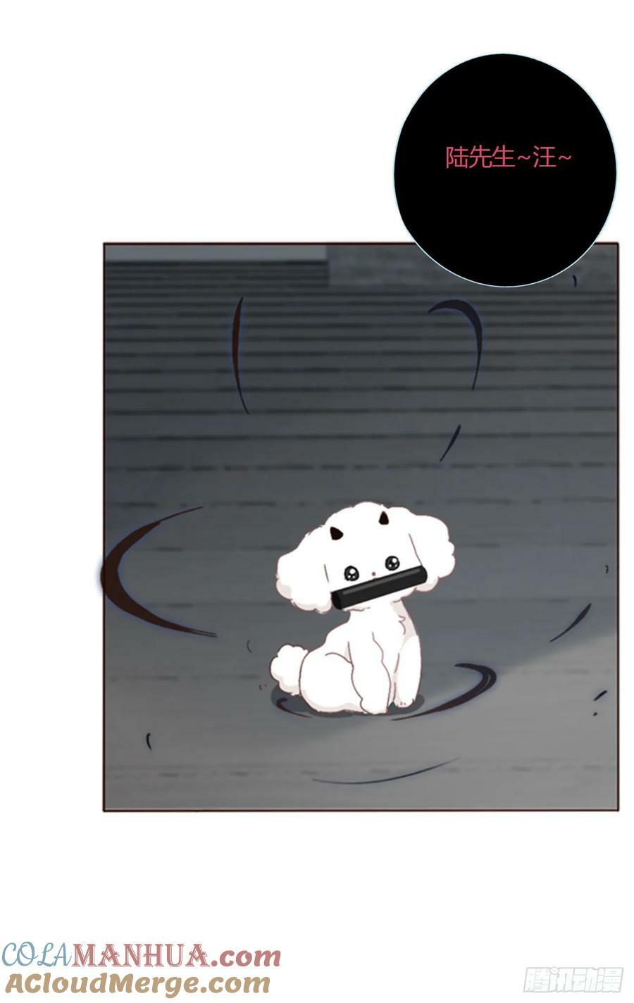 八十七章 苍渊28