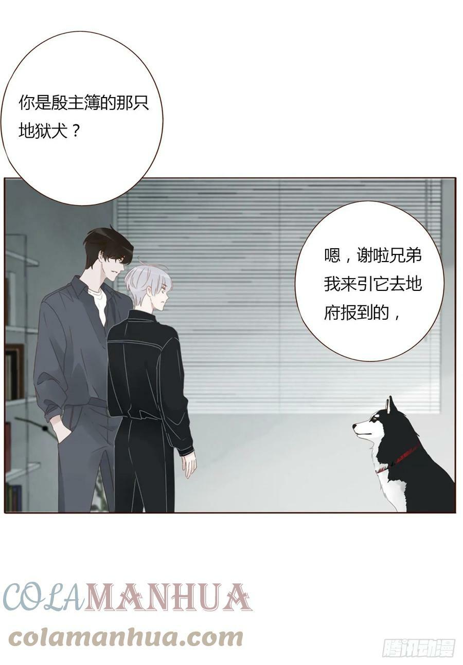 七十七章 地狱犬30