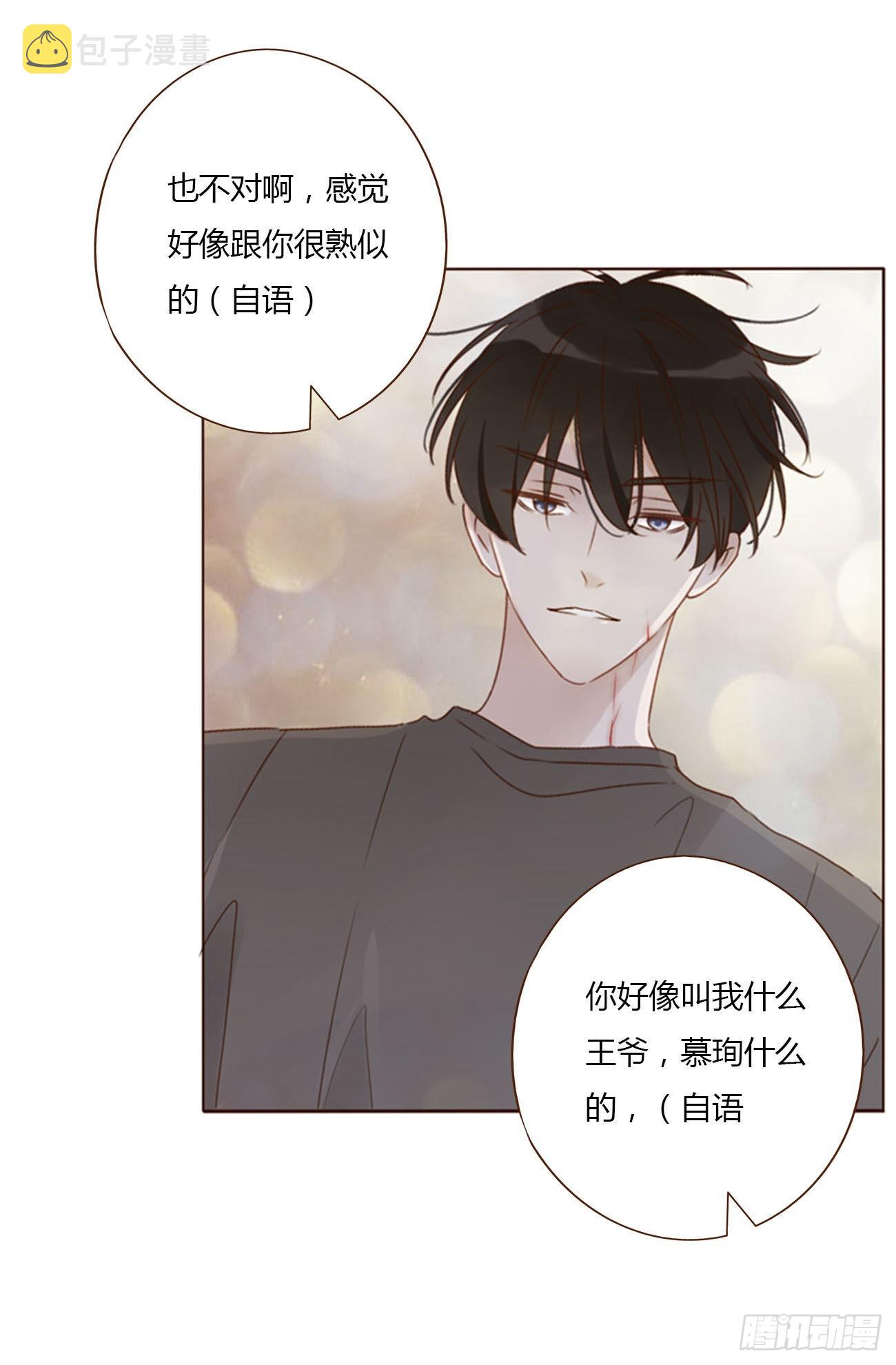 五十二章 前世28