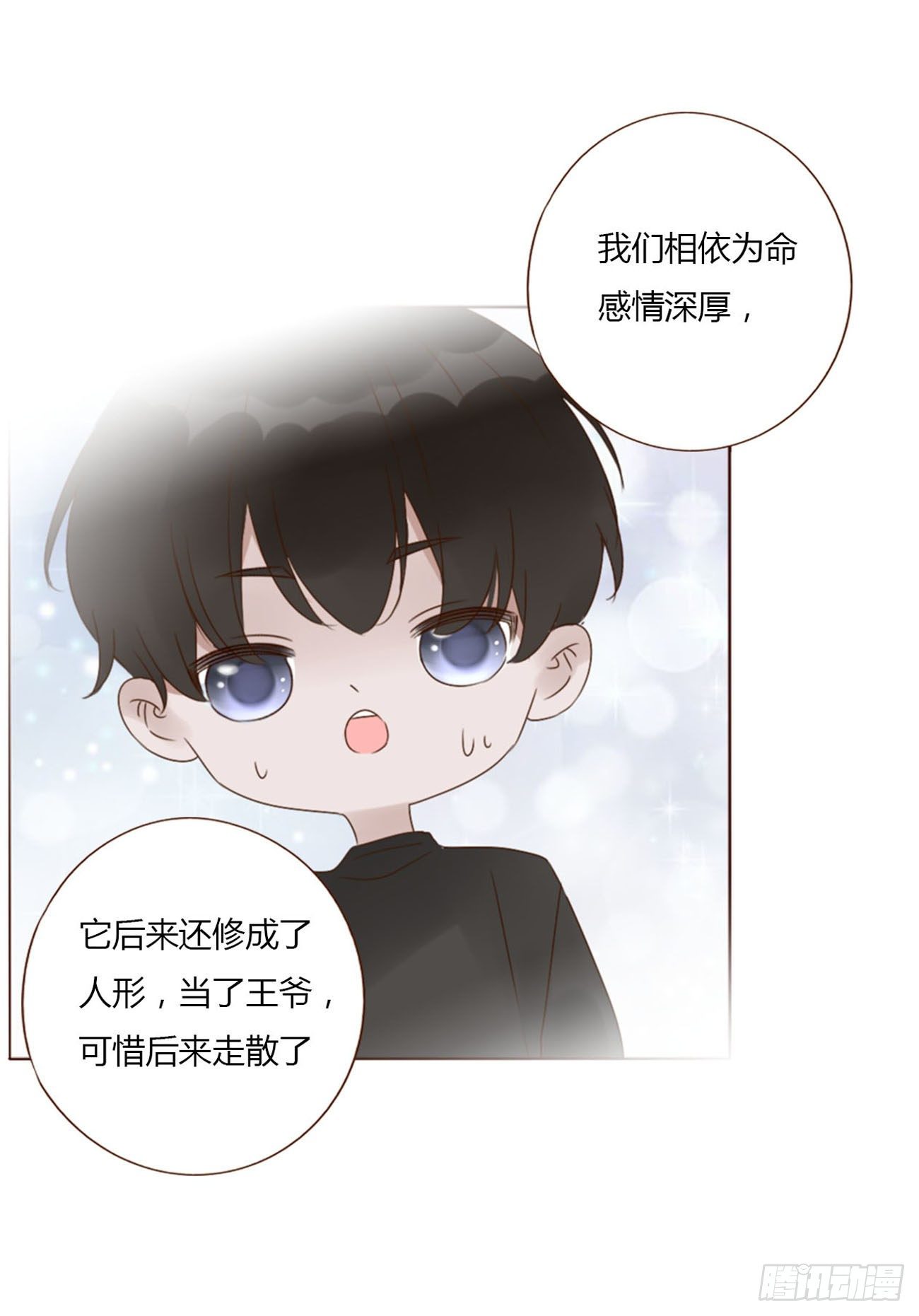 二十九章 记忆28