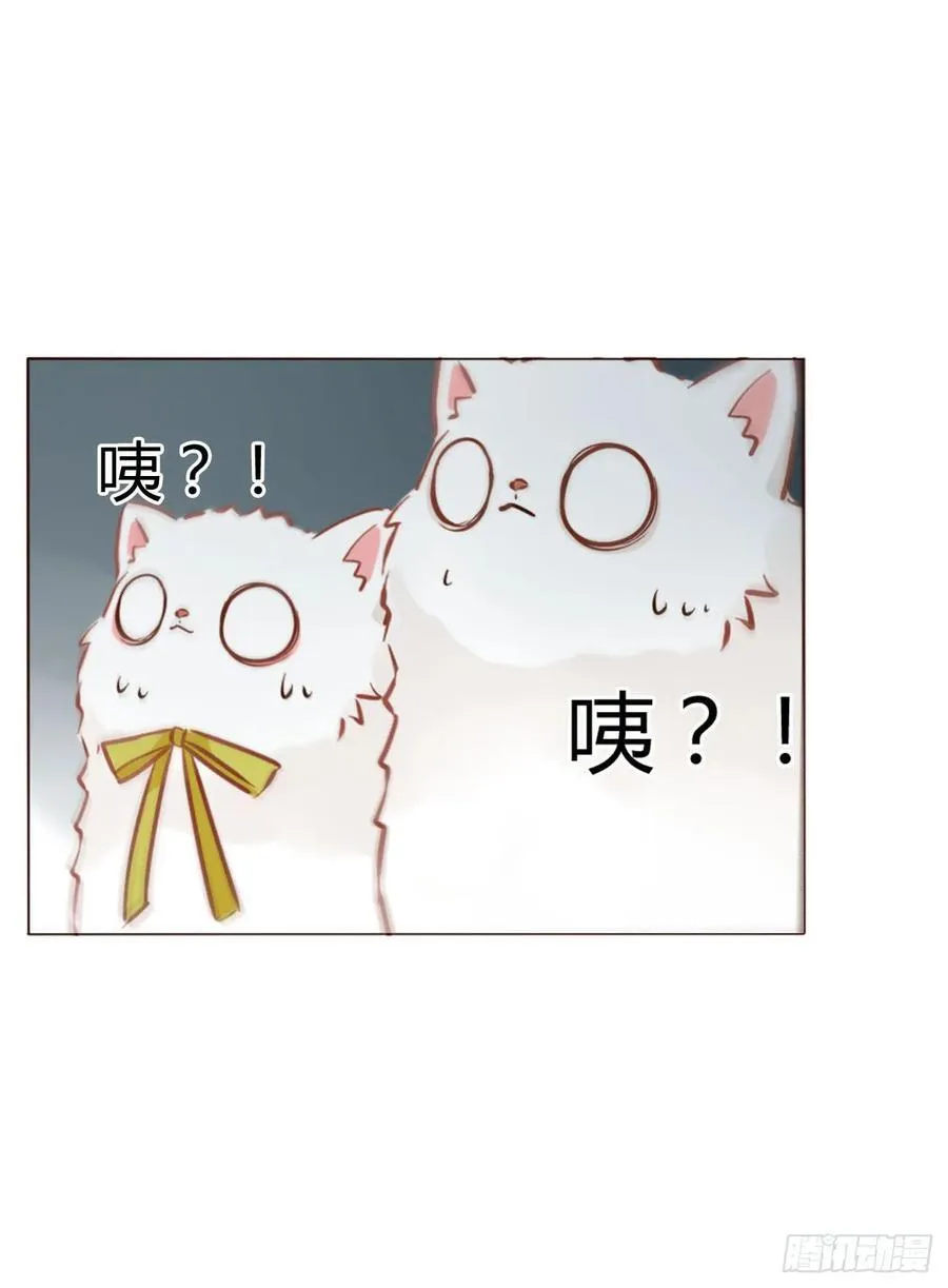 一三二章 小雪宝35