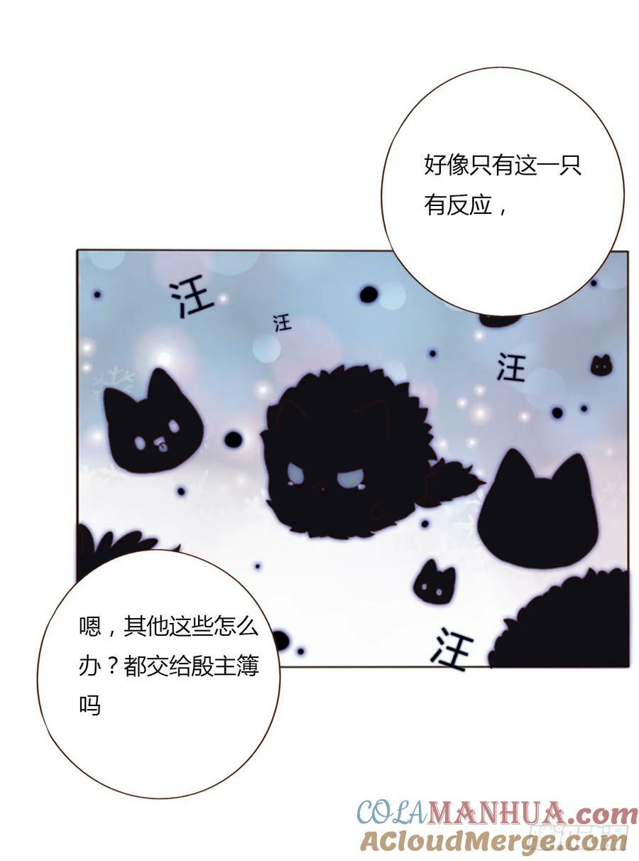 八十三章 虎妖的气息30