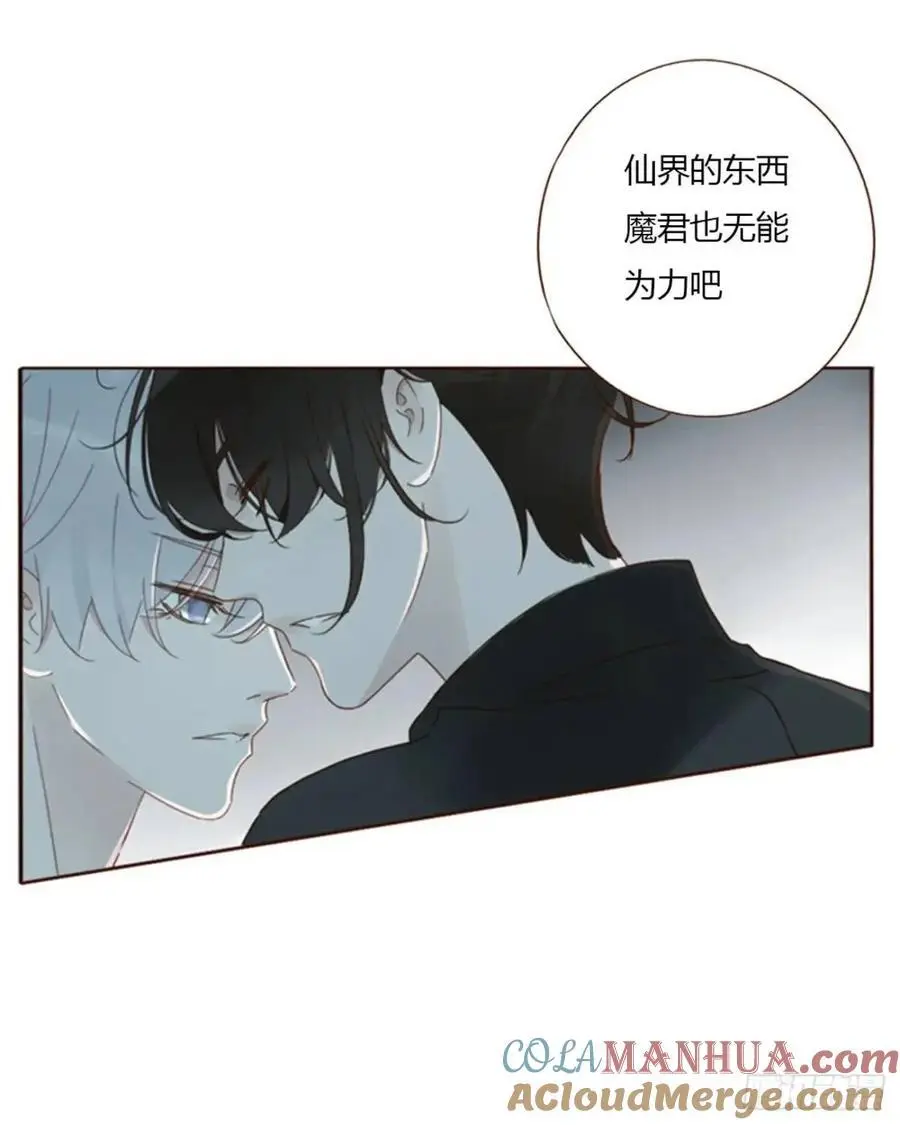 一零八章 前世记忆12