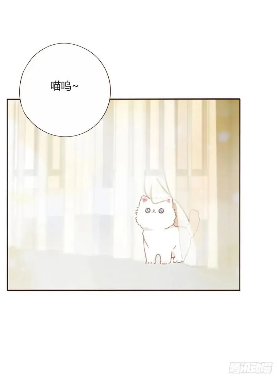 一一六章 猫妖29