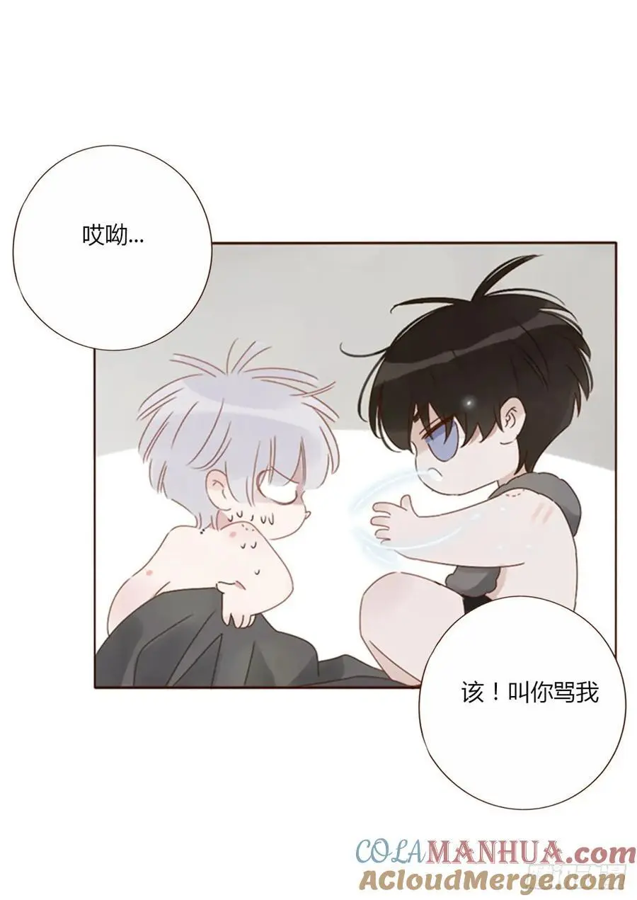 一一六章 猫妖22