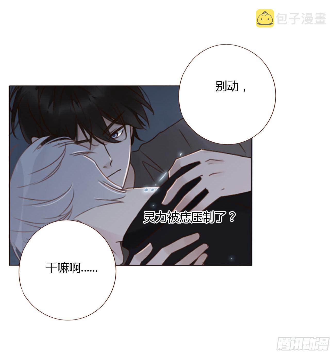 五十三章 四菱痣14