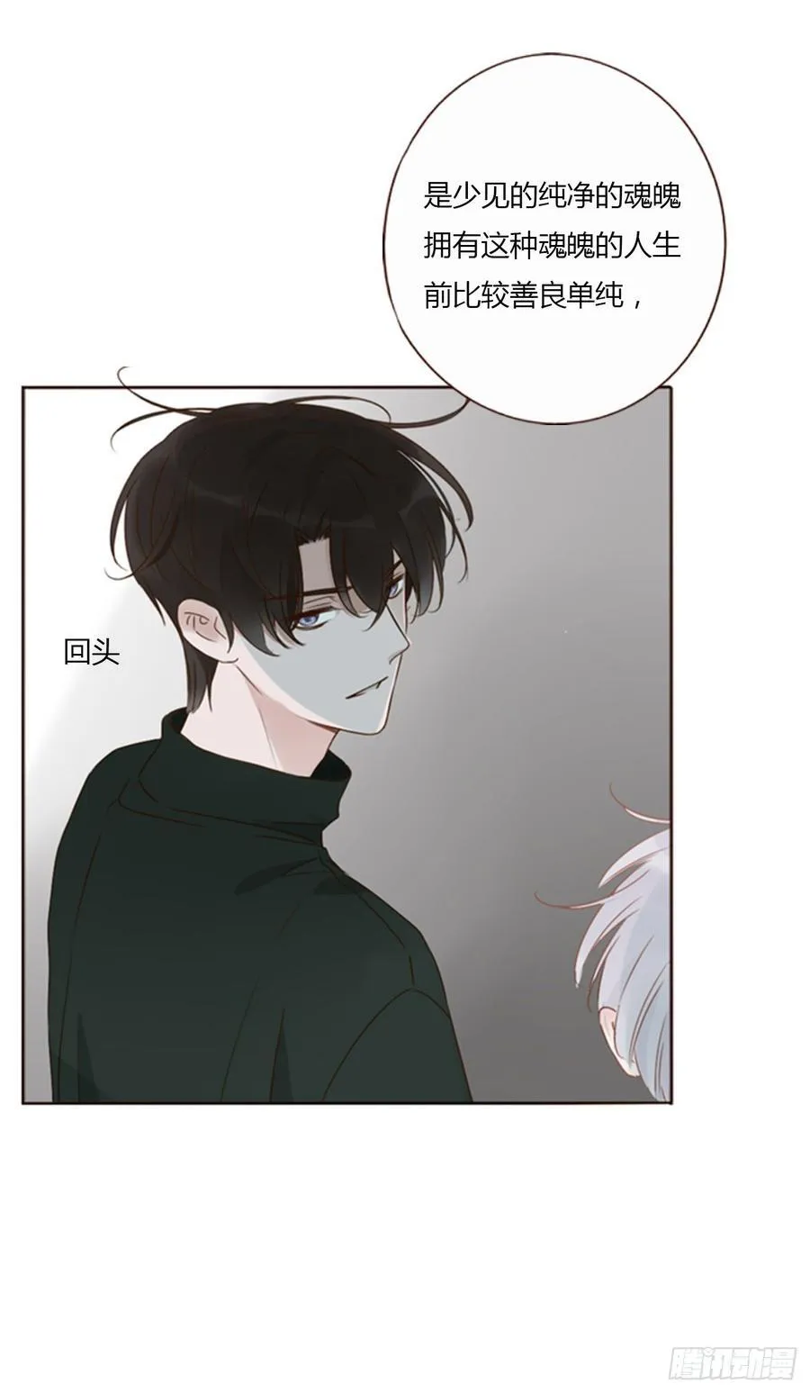 一三六章 奇怪的魂魄315