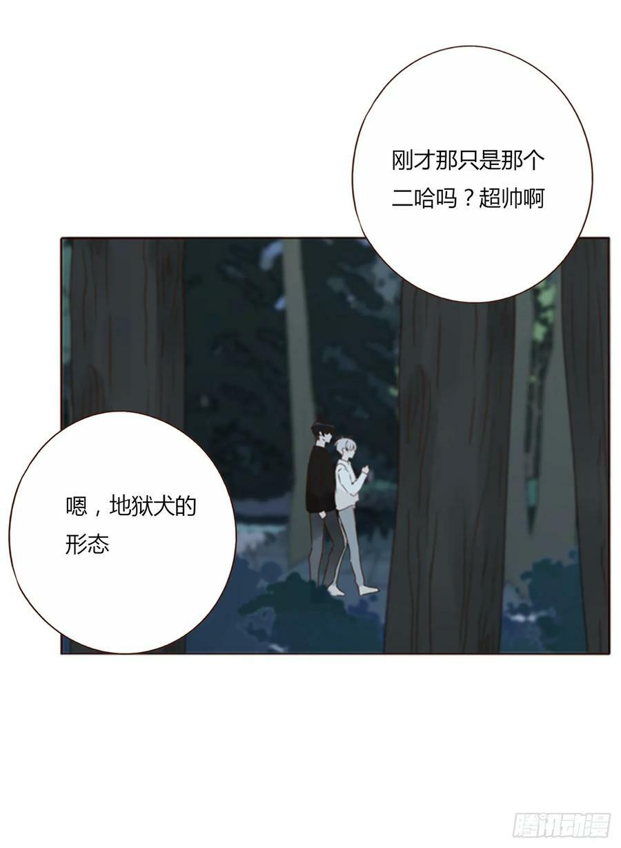 八十一章 然然的前世213