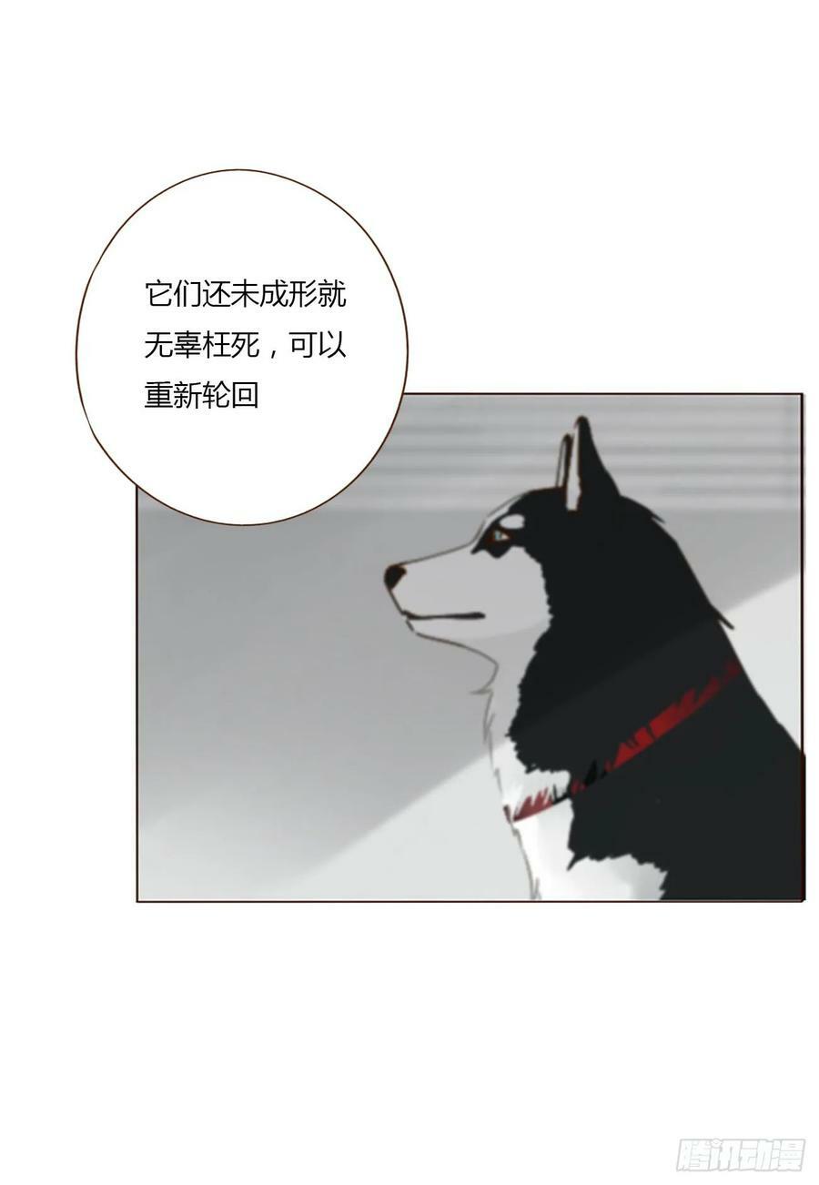 七十七章 地狱犬35