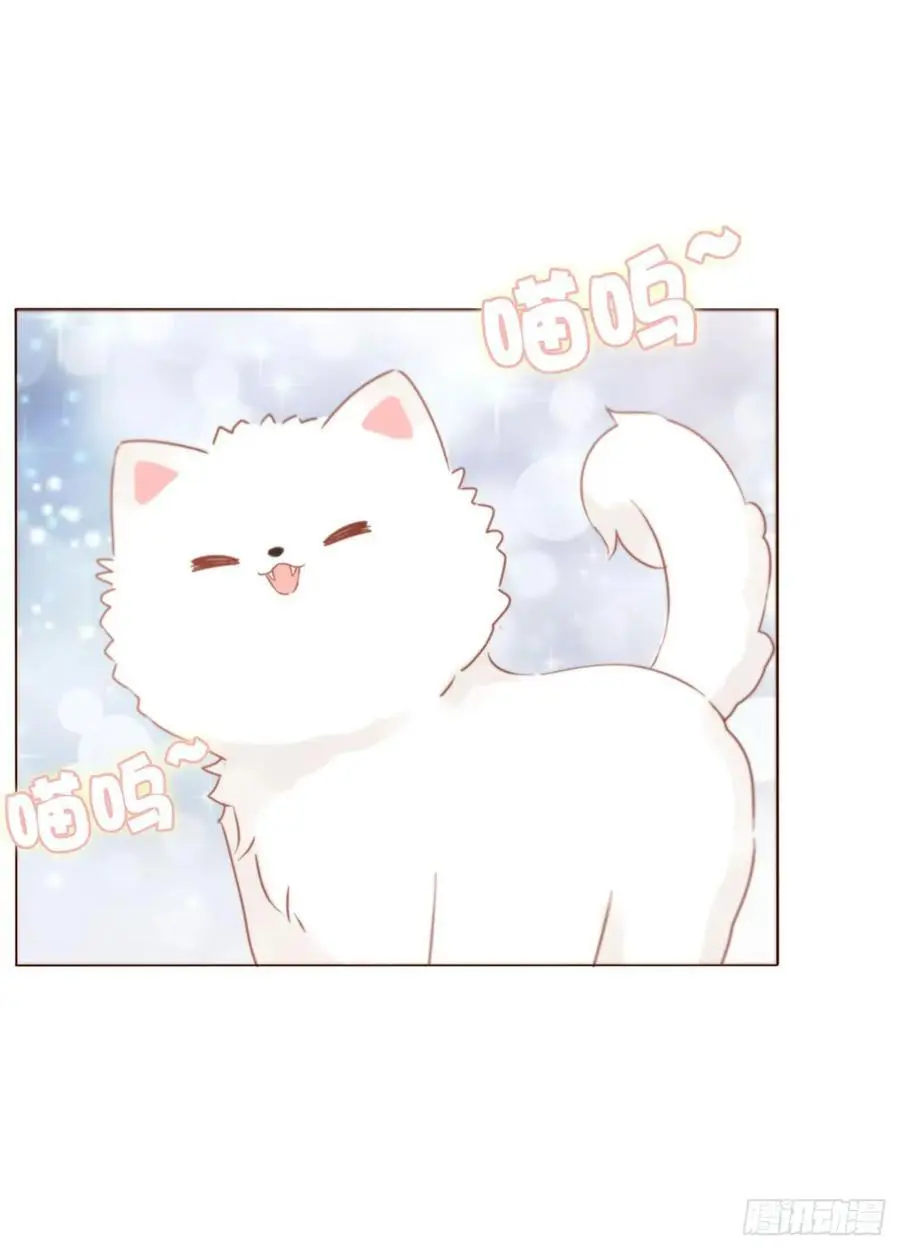 一一六章 猫妖31