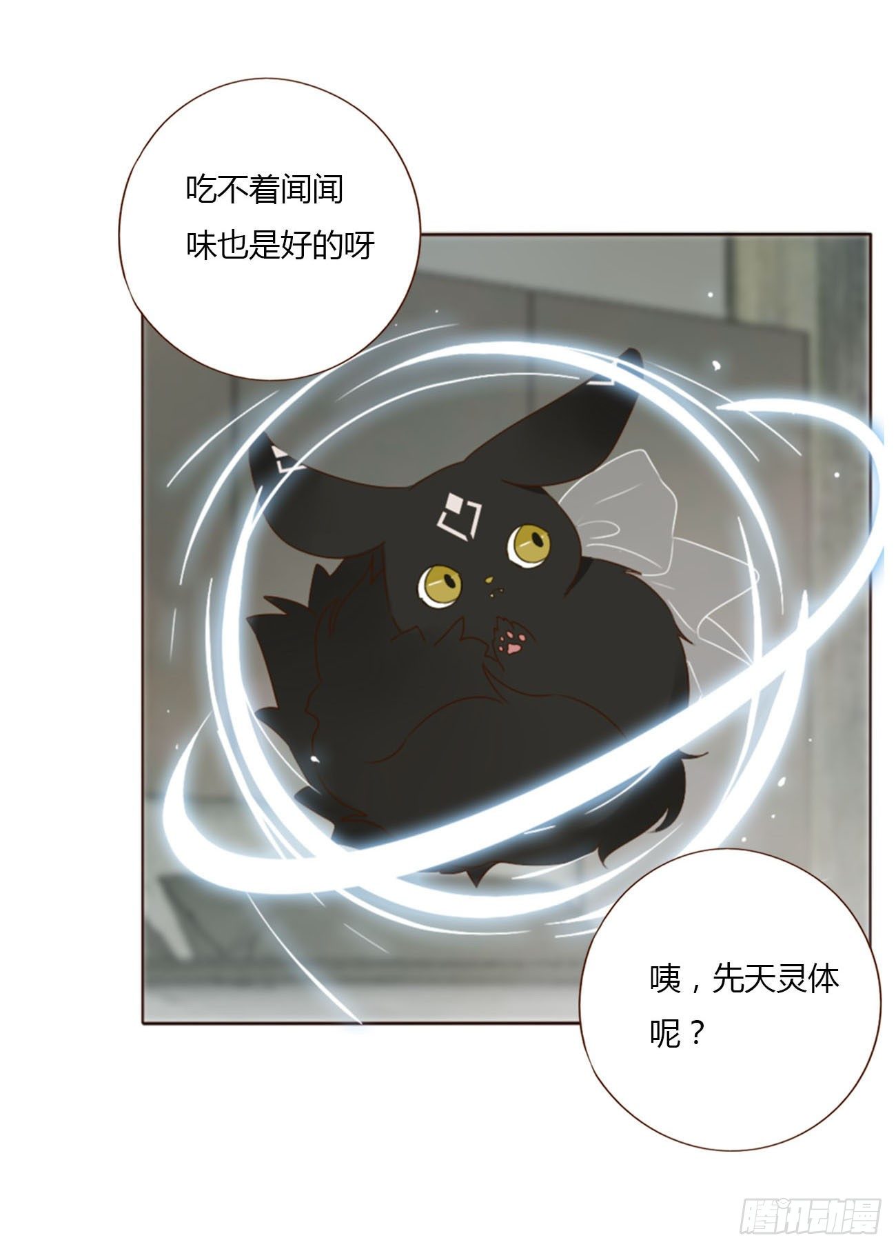 二十四章 长生鼎9