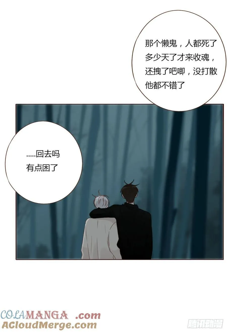 一二二章 复仇230