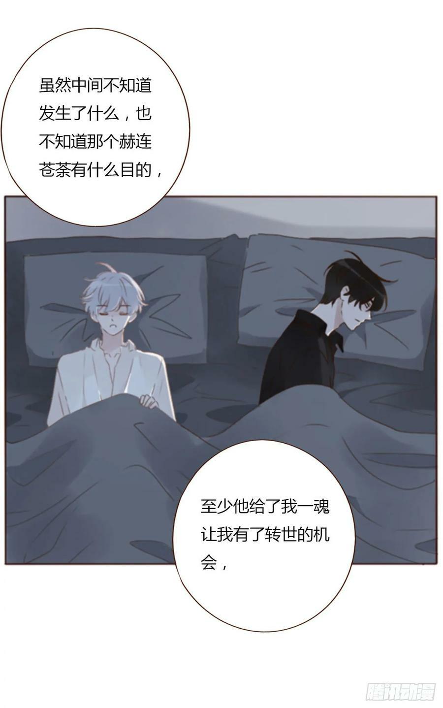 八十四章 对你负责15