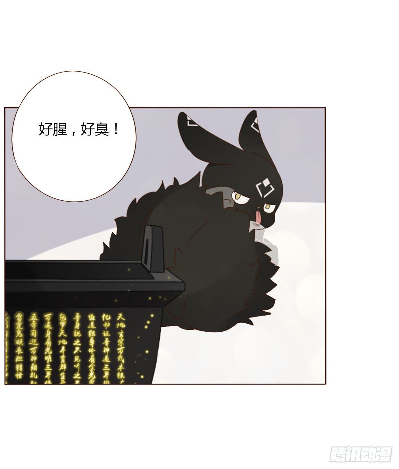 二十四章 长生鼎16