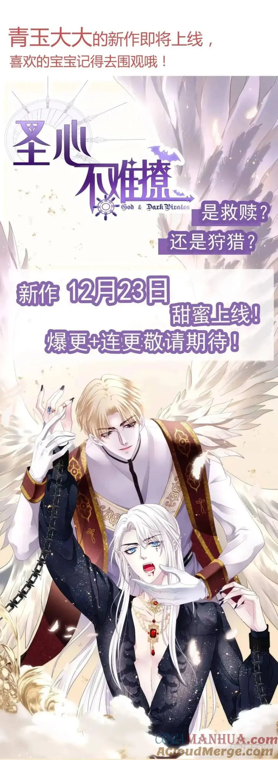 一一五章 成为夫妻40